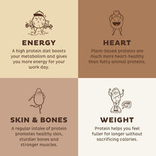 Plant Based Protein Powder, Chocolate USDA Organic - Low Carb Pea Protein Blend, Vegan Superfood with Vitamins & Minerals - Keto, Soy, Dairy Free - Meal Replacement for Women & Men - 15 Servings